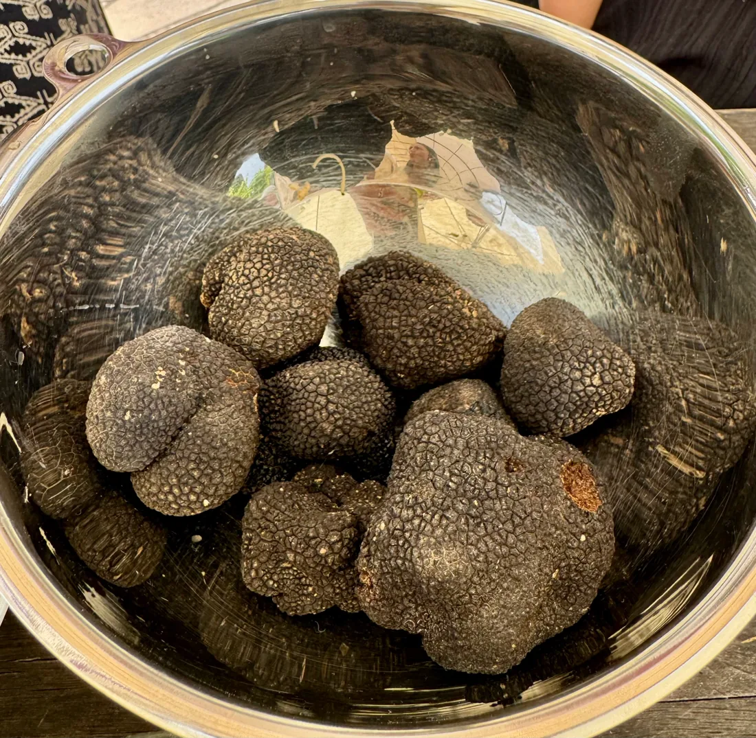Truffes noires fraîches